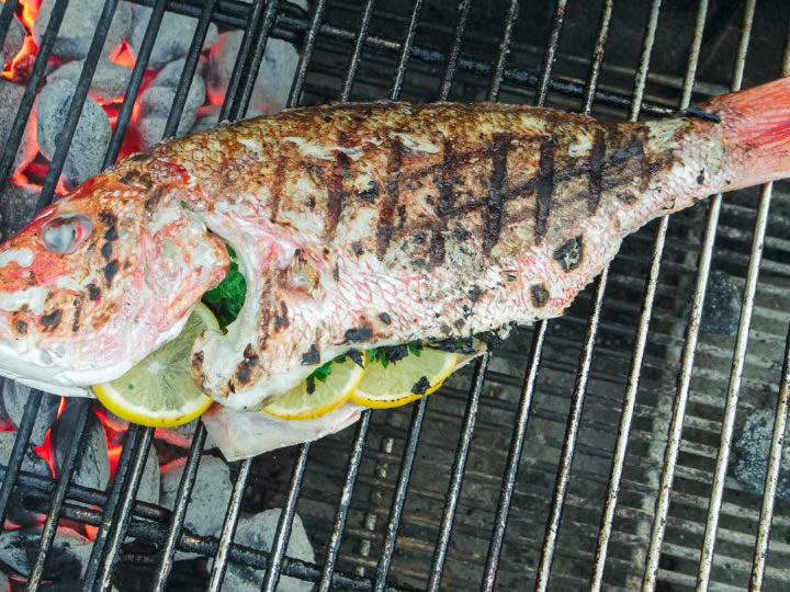 Grilled Fish